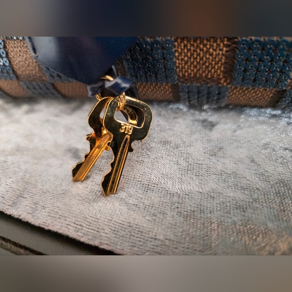 Louis Vuitton Paillettes Damier Ebene Speedy 30 w/Dustbag, Lock and Keys - Picture 9 of 17